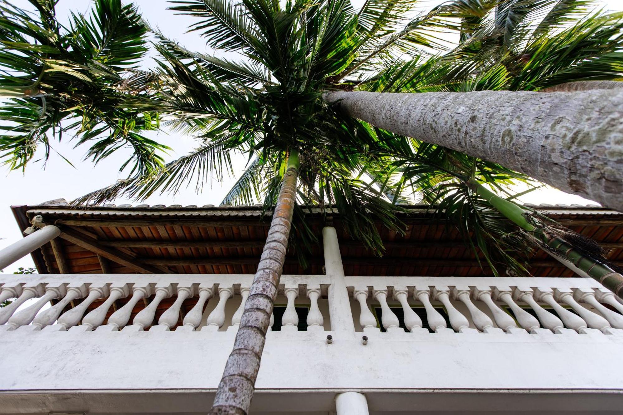 Heron House Hội An Extérieur photo